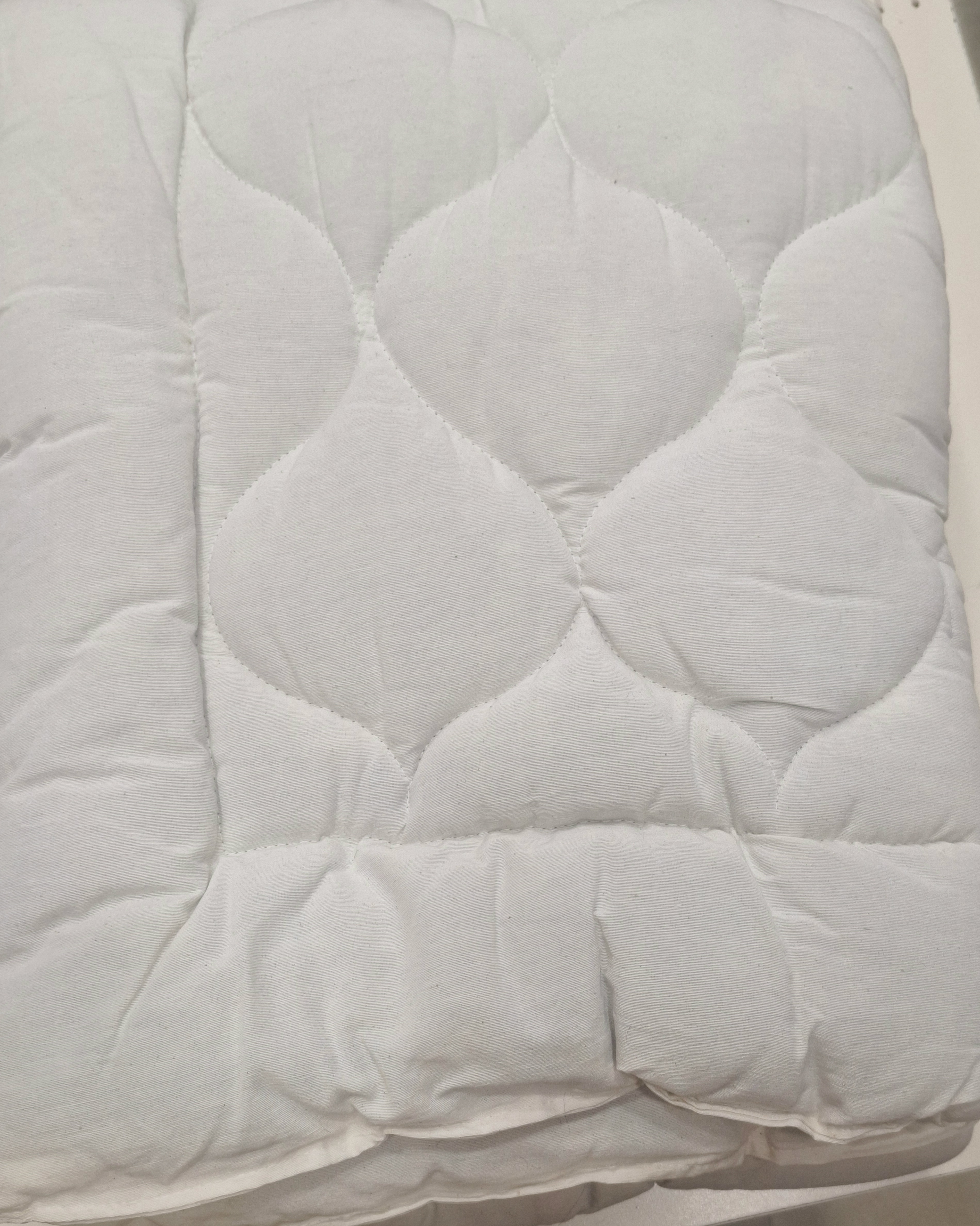 محصولات اورگانیک